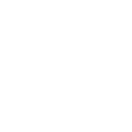 Light housekeeping and domestic duties